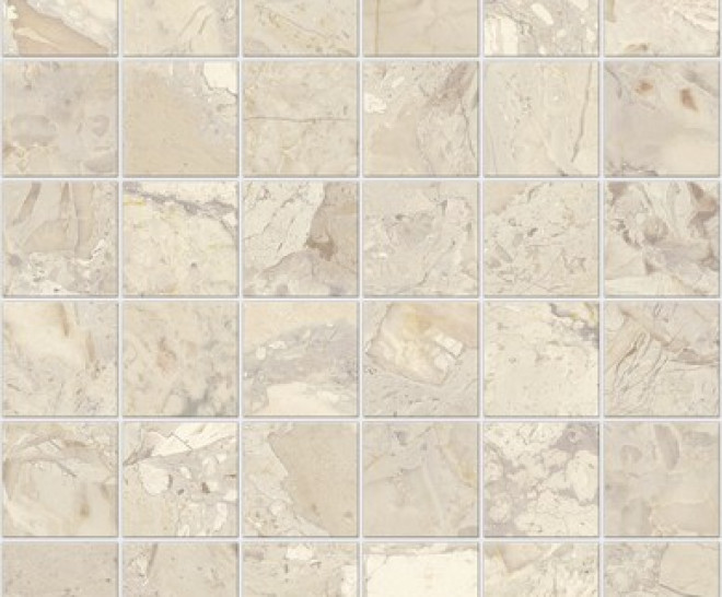 Ashen Beige Nat Mos 5X5 30X30