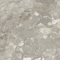 Ashen Grey Natural 60X120