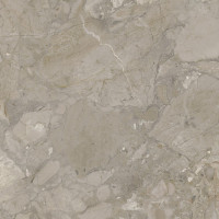 Ashen Taupe Natural 60X120
