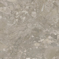 Ashen Taupe Natural 120X120