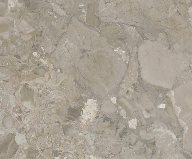 Ashen Taupe Natural 60X60