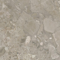 Ashen Taupe Natural 60X60