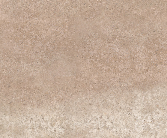 Focus Beige Natural 50X100