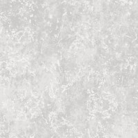 Ion Pearl Natural 50X100