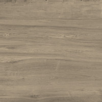 Junoon Maple 120X280