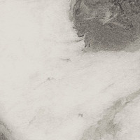 Marble Panda Black Natural 50X100