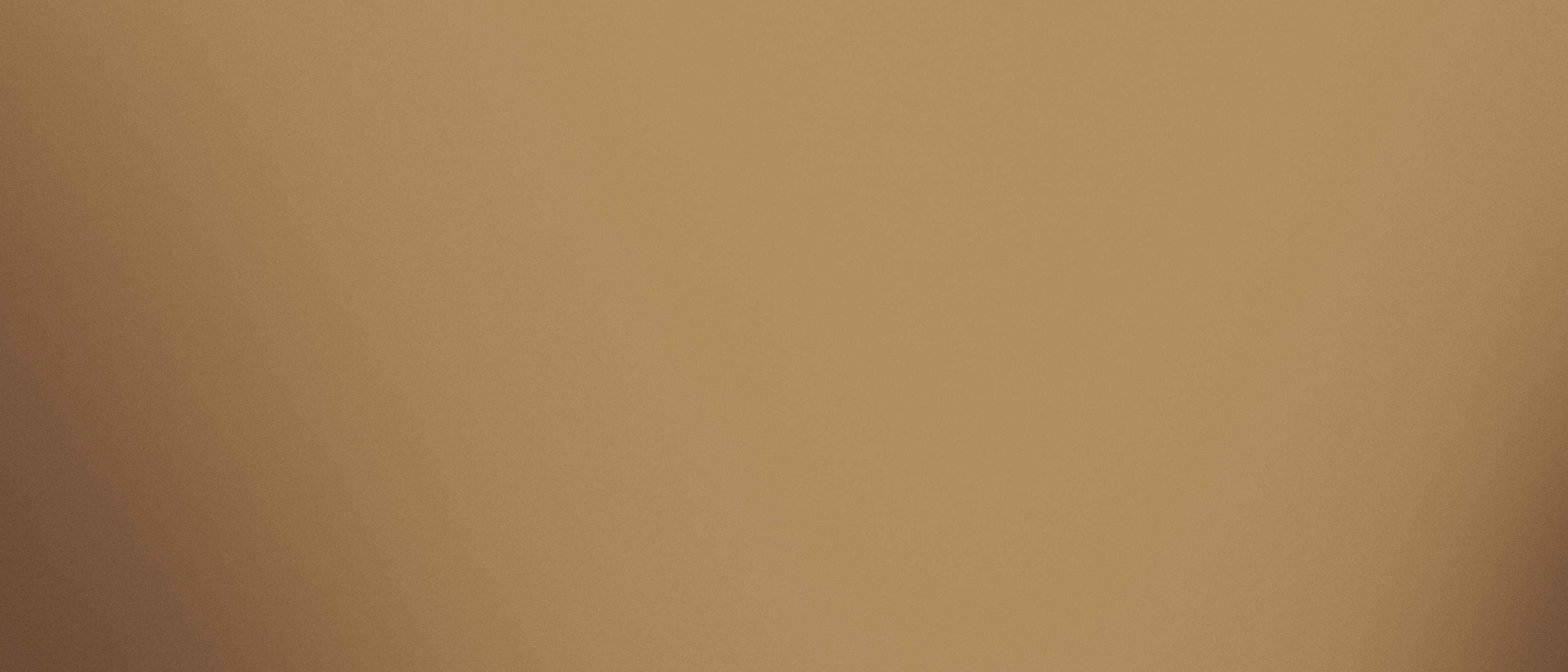 Mirror Bronze Polished 120X280