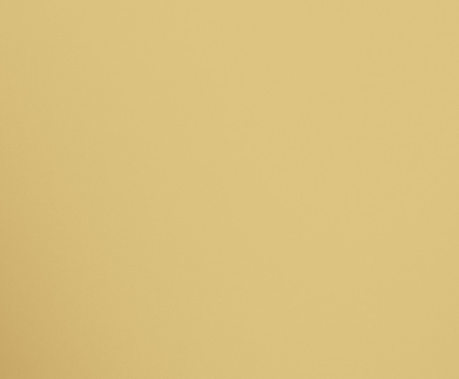 Mirror Gold Polished 120X280