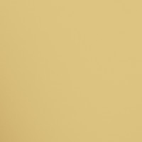 Mirror Gold Polished 120X280