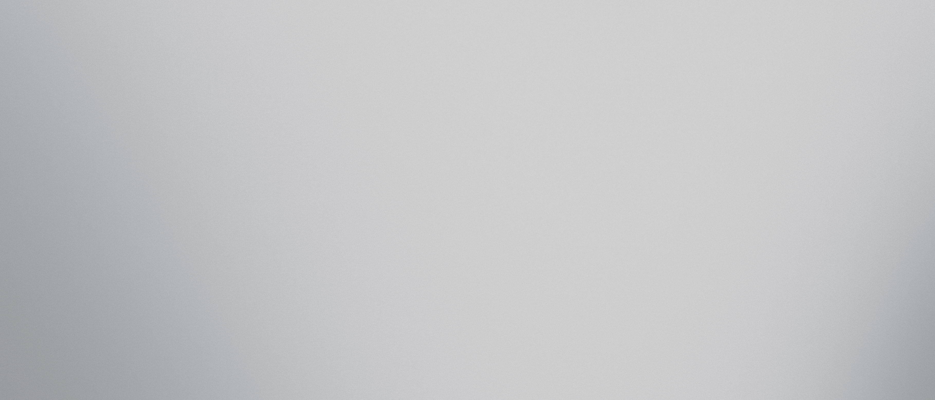 Mirror Silver Polished 120X280