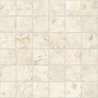 Perlino Beige Nat Mos 5X5 30X30