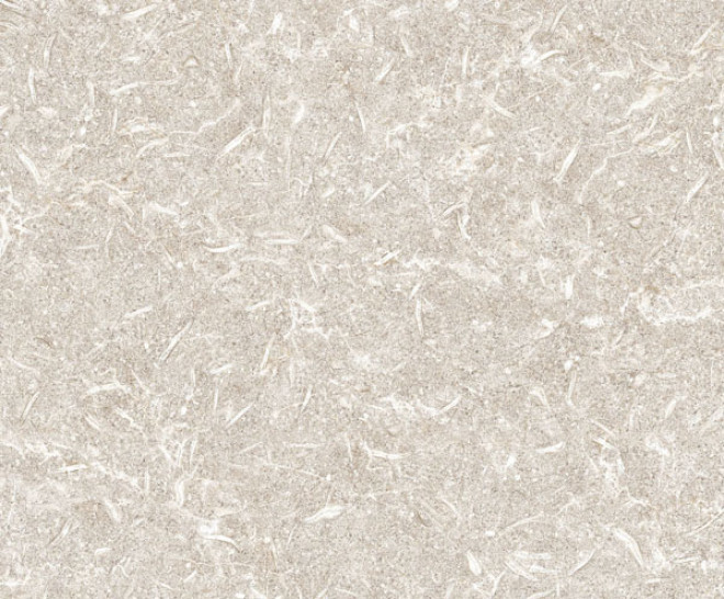 Track Ivory Natural 50X100