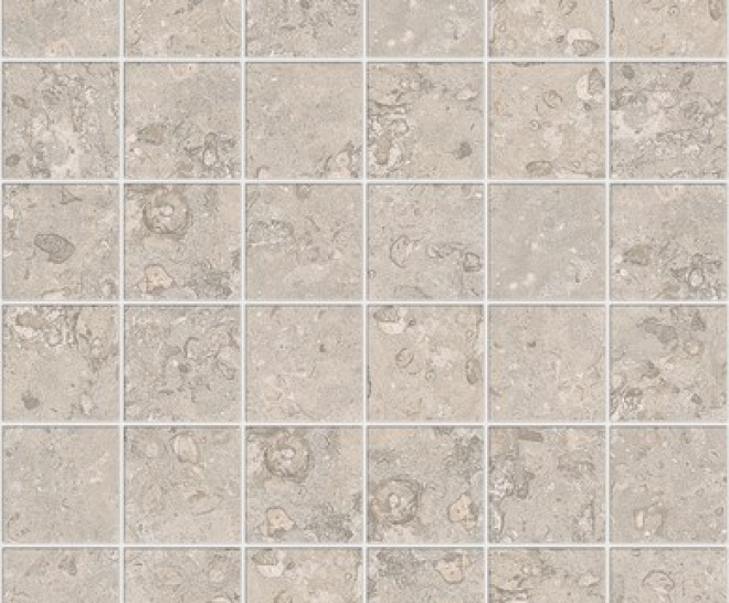 Tuscany Beige Nat Mos 5X5 30X30
