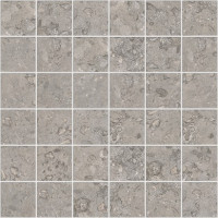Tuscany Graphite Nat Mos 5X5 30X30