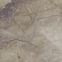 Wild Forest Grey Nat Mix 60X120