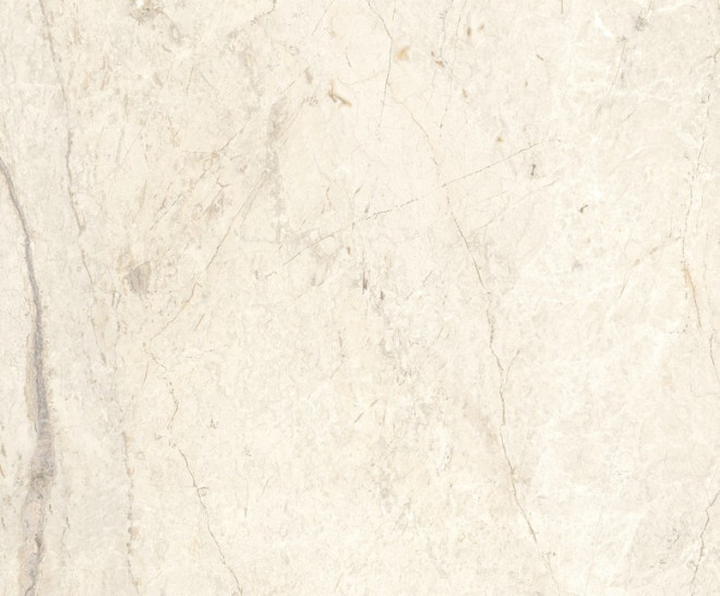 Wild Forest Ivory Natural S-8 60X120