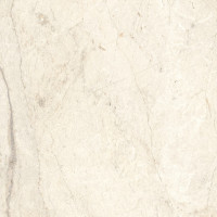 Wild Forest Ivory Natural S-8 60X120