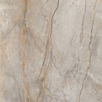 Wild Forest Taupe 3D Silk 60X120